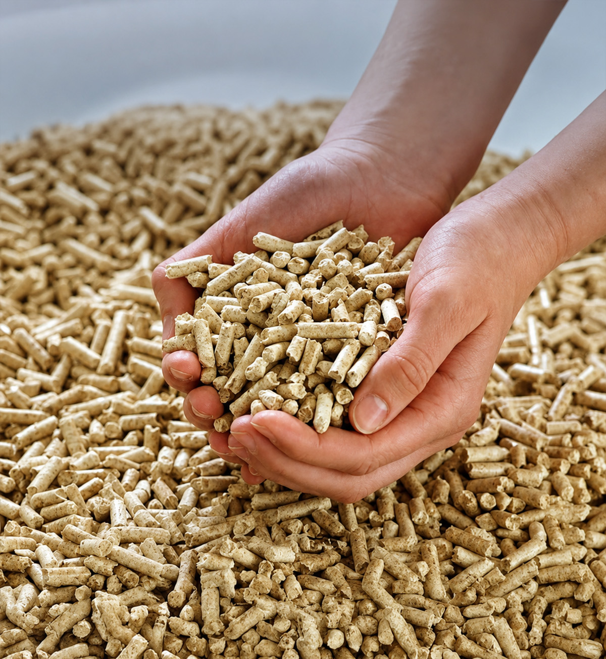 Animal feed production raw materials background